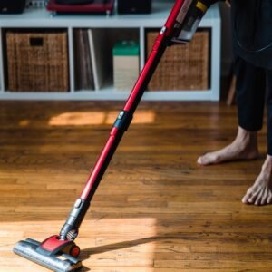 Portable vacuum cleaner