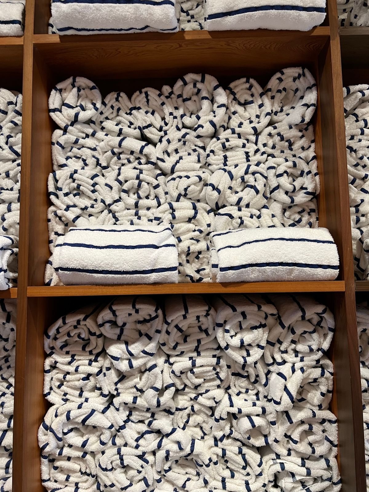 Premium Cotton Bath Towels (Set of 4)
