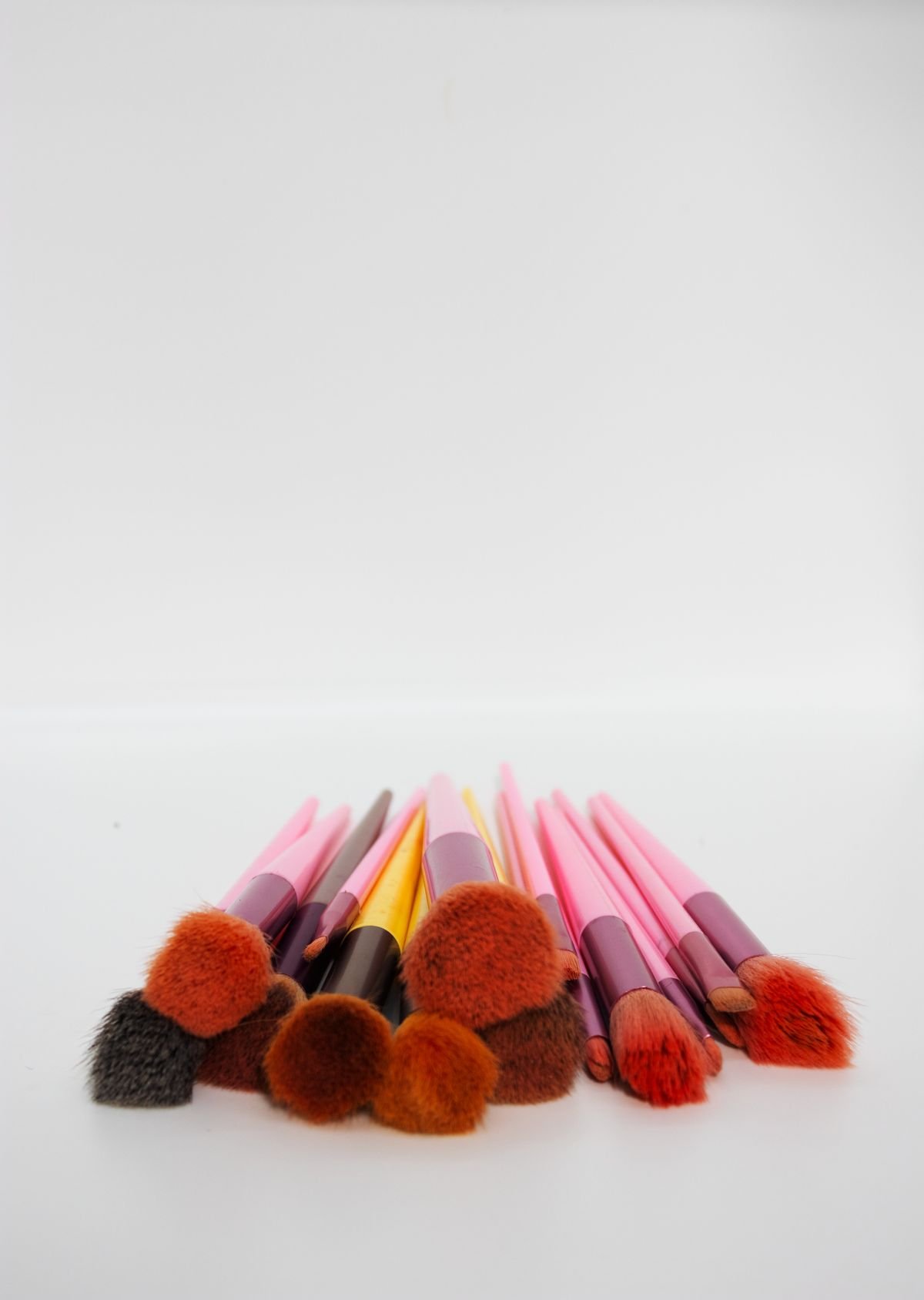Professional Makeup Brush Set (12 Pcs)