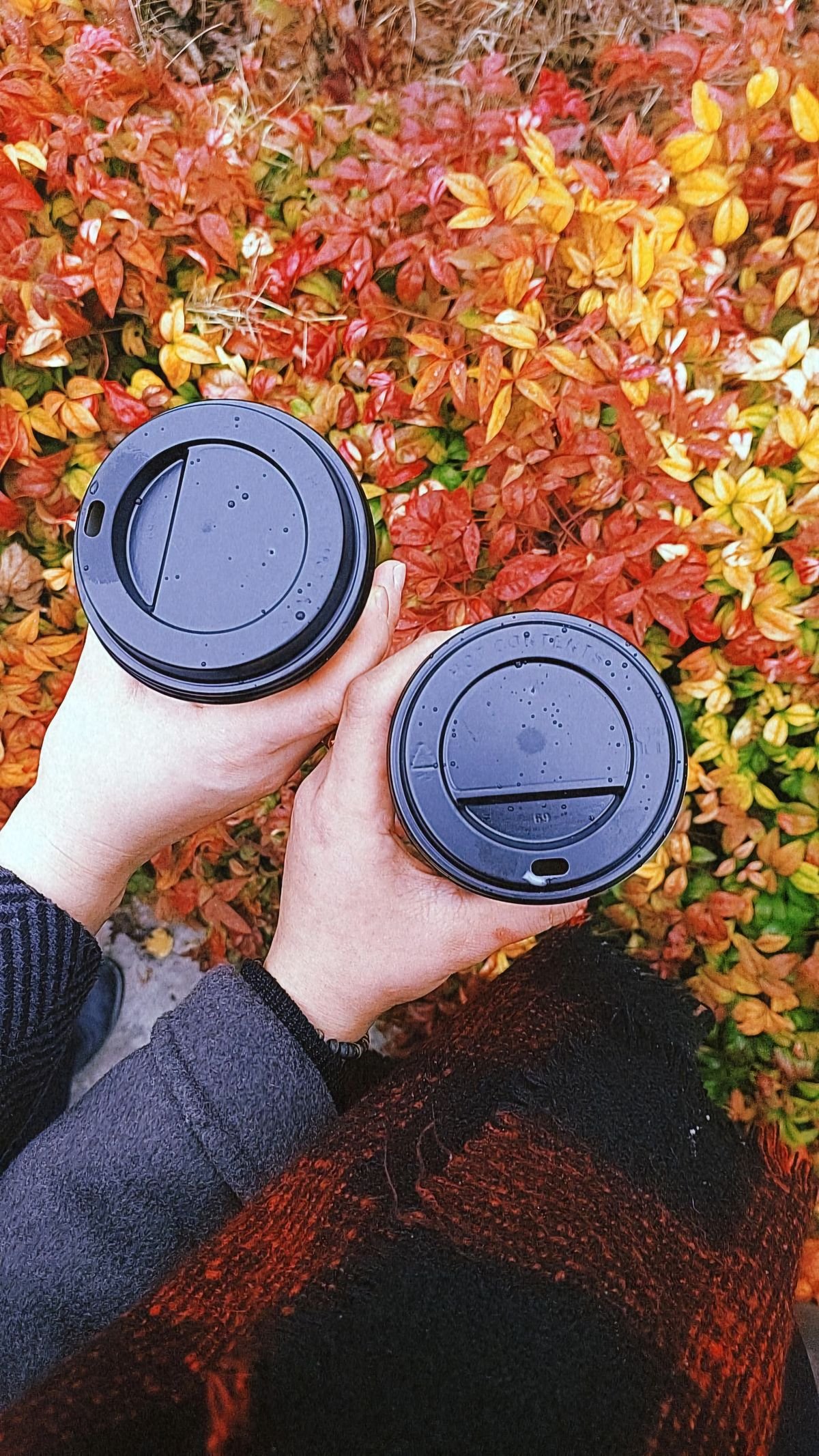 Ceramic Coffee Mug Set (6 Pcs)