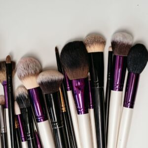 Professional Makeup Brush Set (12 Pcs)
