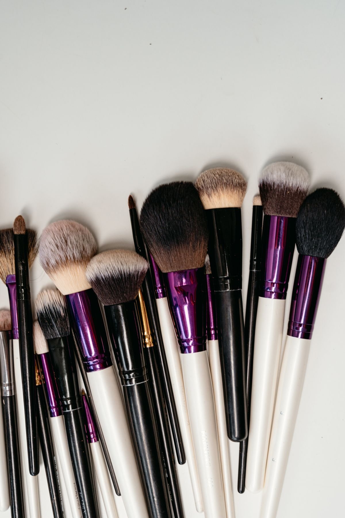 Professional Makeup Brush Set (12 Pcs)