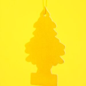 Car Air Purifier & Freshener